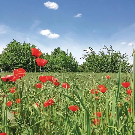 Amazing In Cosio D'arroscia W/ 3 Bedrooms * Montegrosso Pian Latte